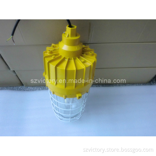 250W Metal Halide Flood Explosion-Proof Light